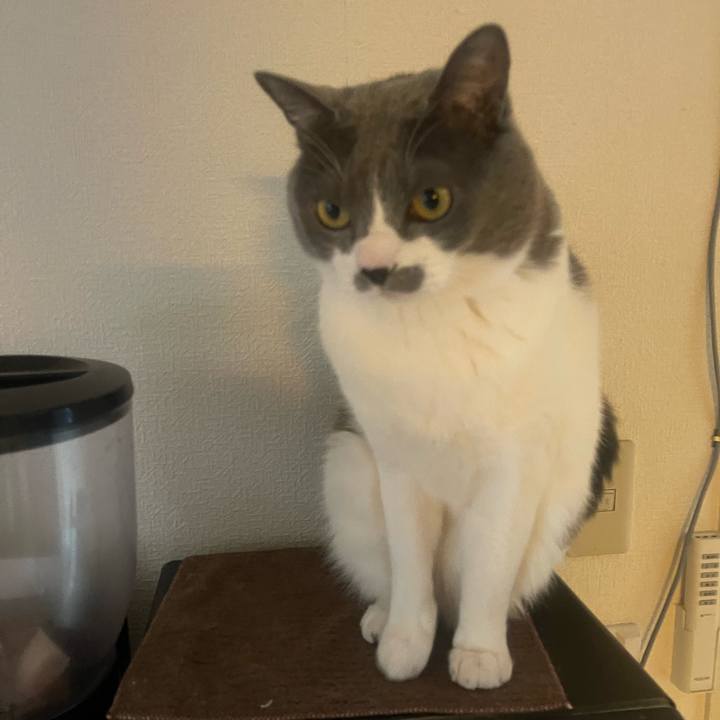 B9233619 c069 45de 8941 26f482169af1 1740786824606