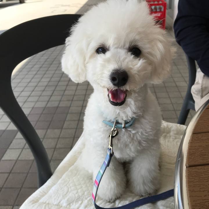 B923a21d fd0c 4bd4 983d 245cf4507a0d 1525941416941