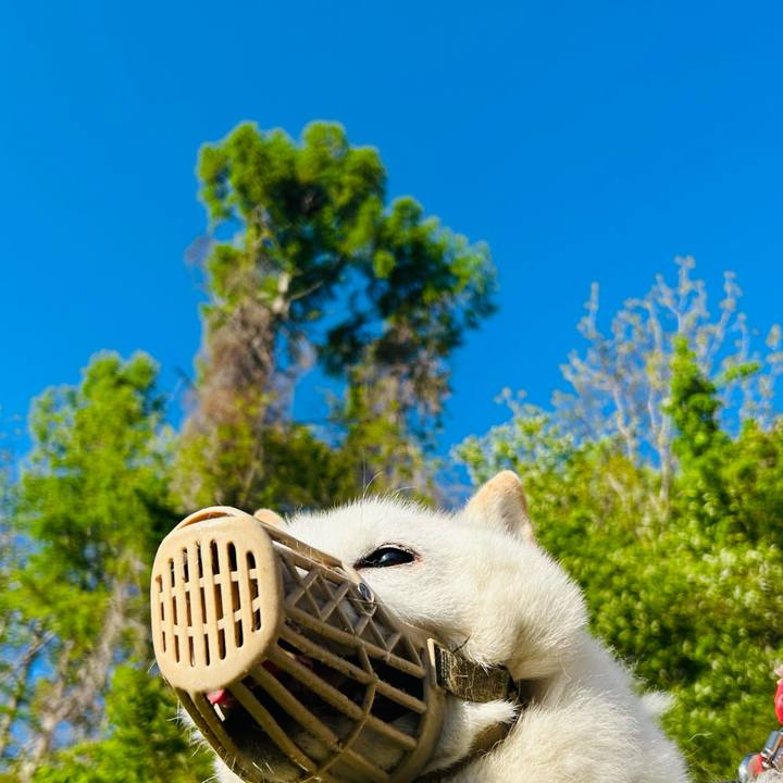 B923a80e b0e6 4073 89a3 9eee1f5b55bd 1715981676889