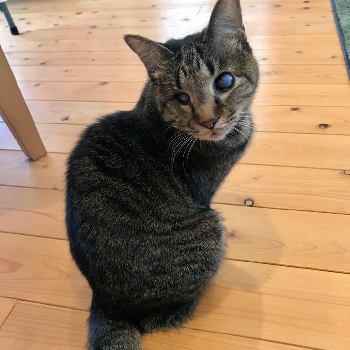 B923afb9 408e 4386 9965 7ae5ddbb1ba7 1554770970074