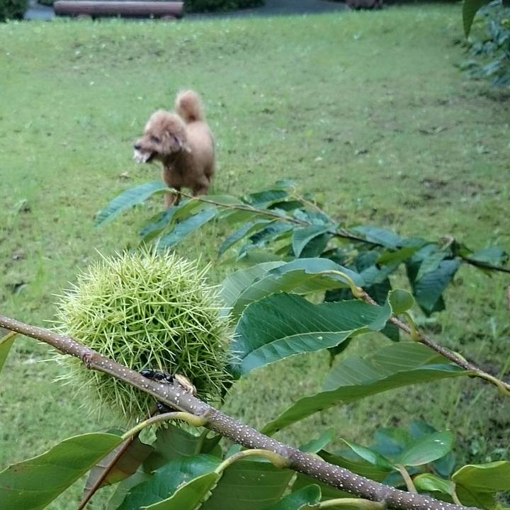 B923c3e3 aac0 429b b2a8 690e9a293436 1535933687602