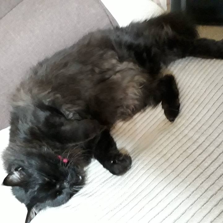 B9242f3b bf22 4f39 a104 593aa7f55cf2 1521972497152