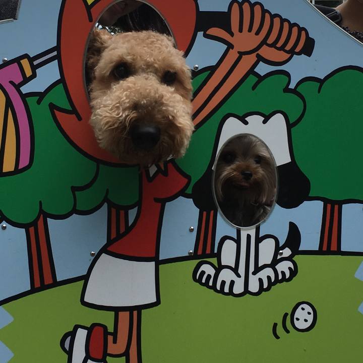 B9246962 650b 4d45 be78 5af6cc9c03b3 1565870473292