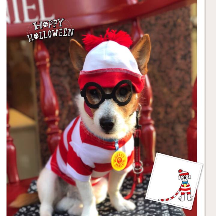 B9248c8d e428 4dff 9b4b a9d6733dc2c4 1540868543899