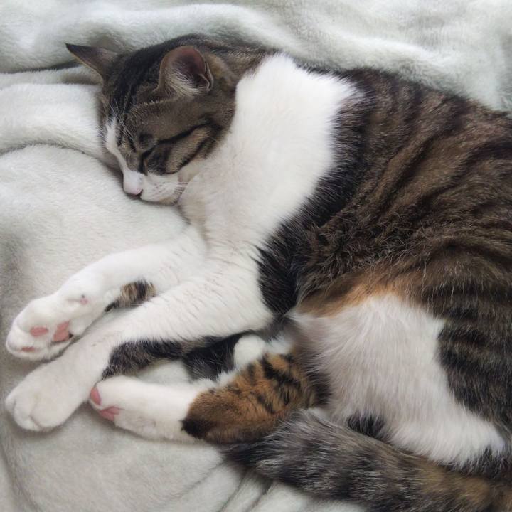 B92498a6 a51f 4b37 9c6b e5c3175b5a25 1645764896678