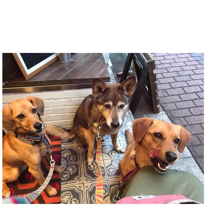 B924a980 3486 4cba 8308 6724587fb883 1527502033084