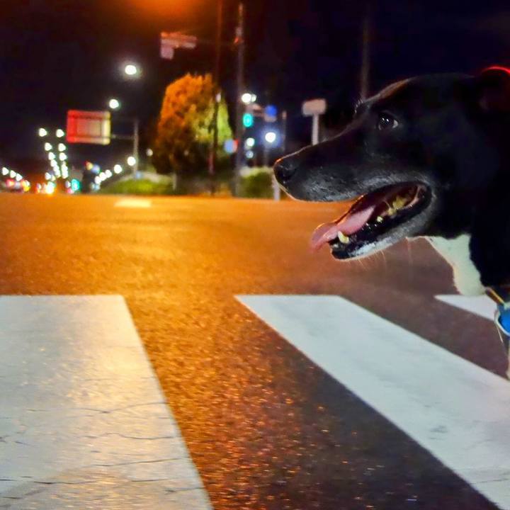 B924c018 af0a 4a1f a263 4afe18b2bb0c 1697368200076