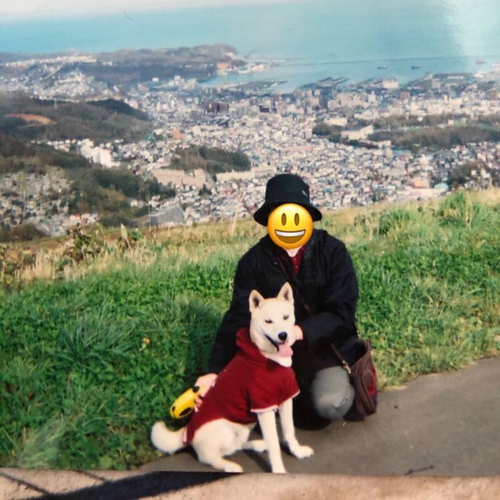 B924c6de ae1f 43a3 8cac d2db5d688111 1577599262475