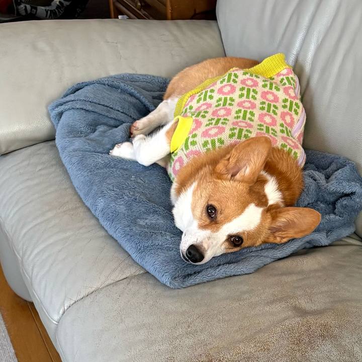 B924cd9a c0a9 4ef4 a50d 853d5069e367 1769560179793