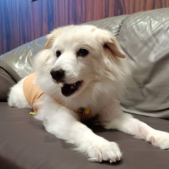 B924e37c 877d 4b79 a3e0 405788f459ca 1708858846784