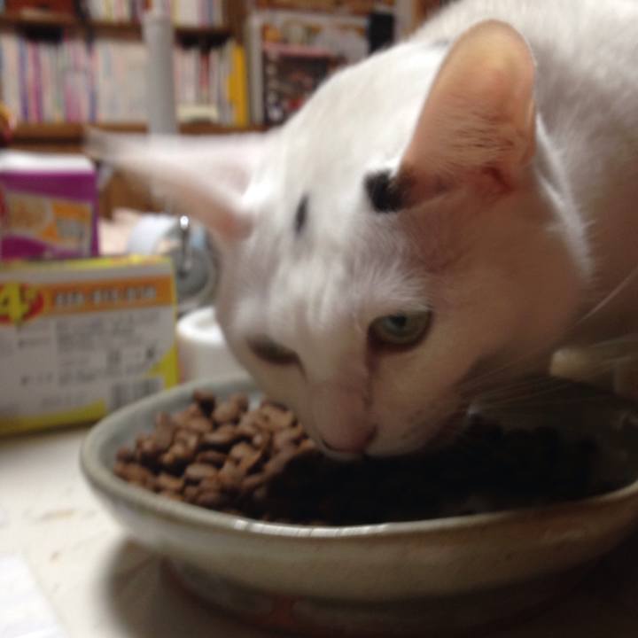 B92514cc a85c 4e16 ad53 cd4f0520e9c1 1509534155688