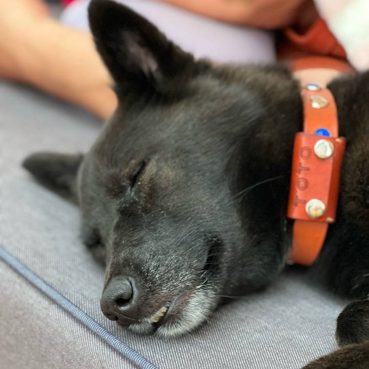 B9251f2a 60f9 4d5c 8b4b 6508c4e9e531 1660197245548