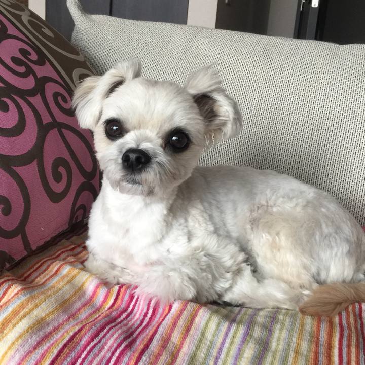 B9259954 7d46 4917 a367 4168cf10bc76 1514116113925