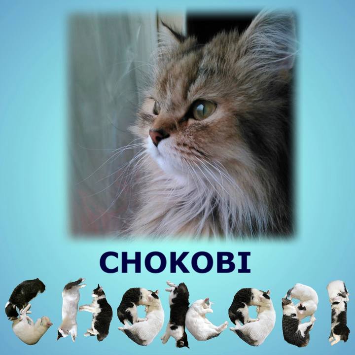 B925a0cd 8f2b 4716 9bff d8713dcd6c6a 1669603215508