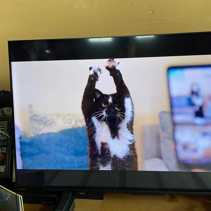 B925b894 aad4 4e77 951e 856e21ed3194 1754982275610