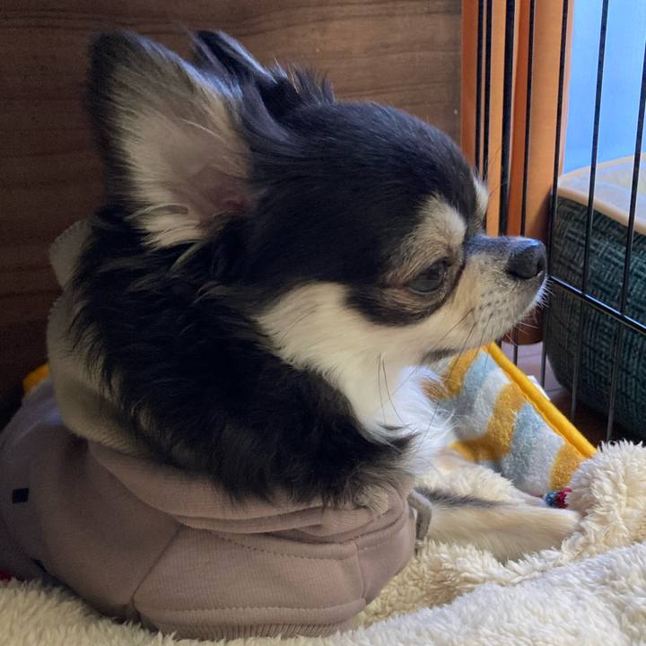 B925e246 2ee0 4fad b7a6 08b137074e1a 1671885719607