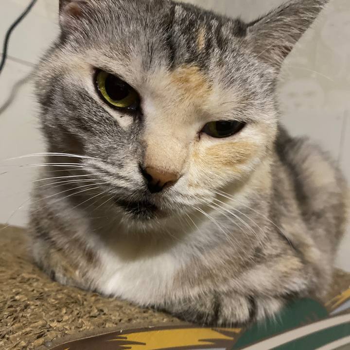 B925f8e1 4f98 478e a35d 204af9e7de7d 1635178109641