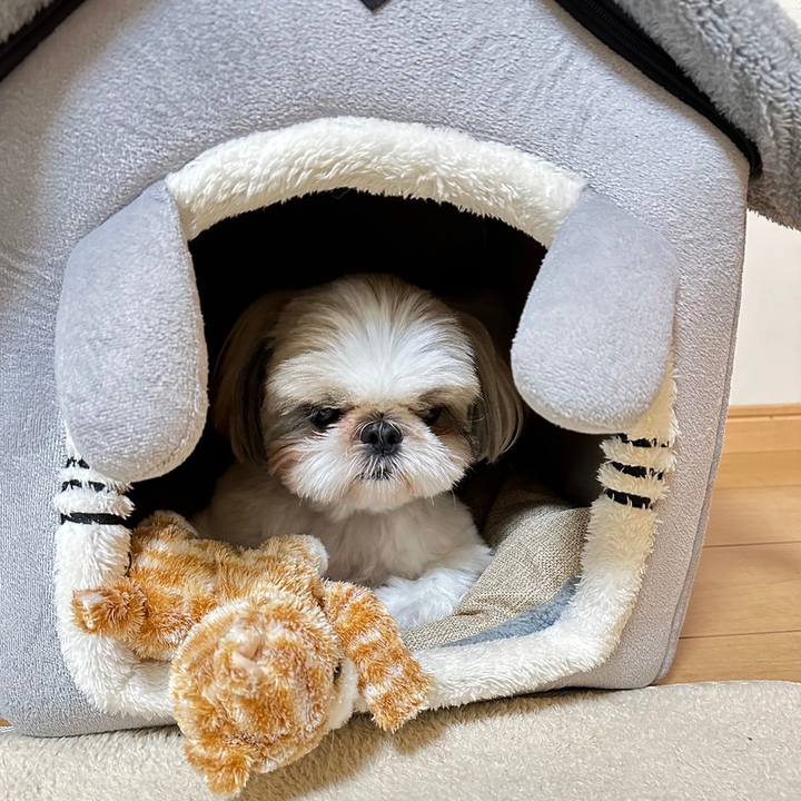 B926284a ebb3 4426 9064 d3e7f1395541 1691137087985