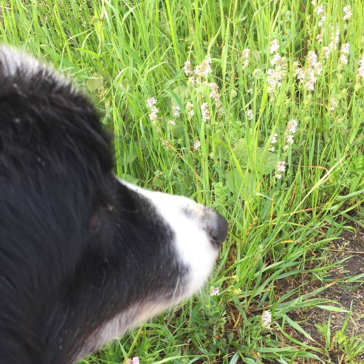 B9267a56 a2c5 49cd 8a00 0946365f645a 1556753928388