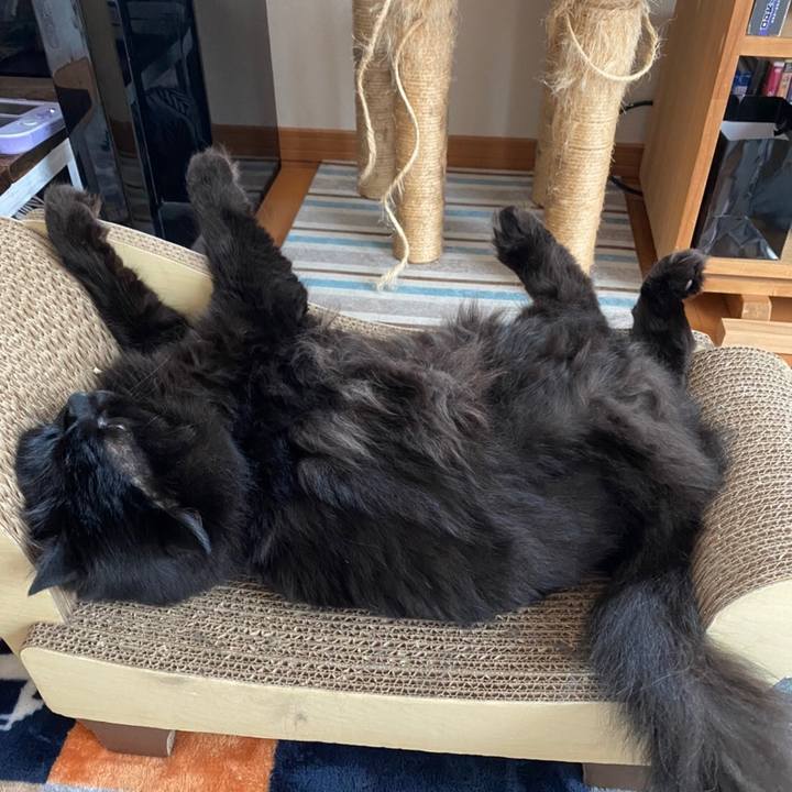 B926c66c b4d5 48a5 9608 752d51325fb3 1595483450817