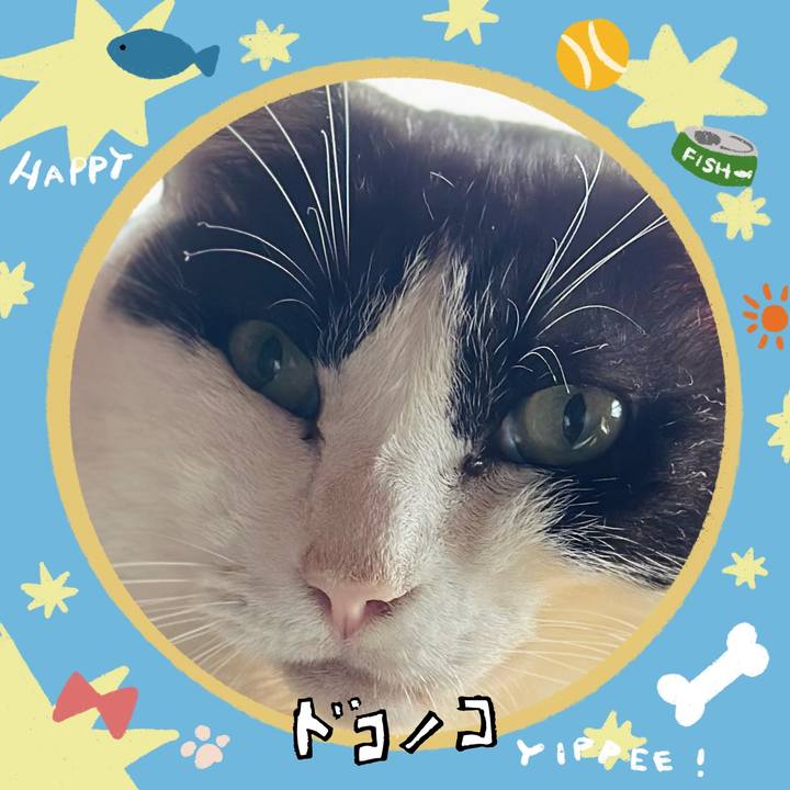 B926c87d be01 454d 947f eb7d83c4255f 1721092143643