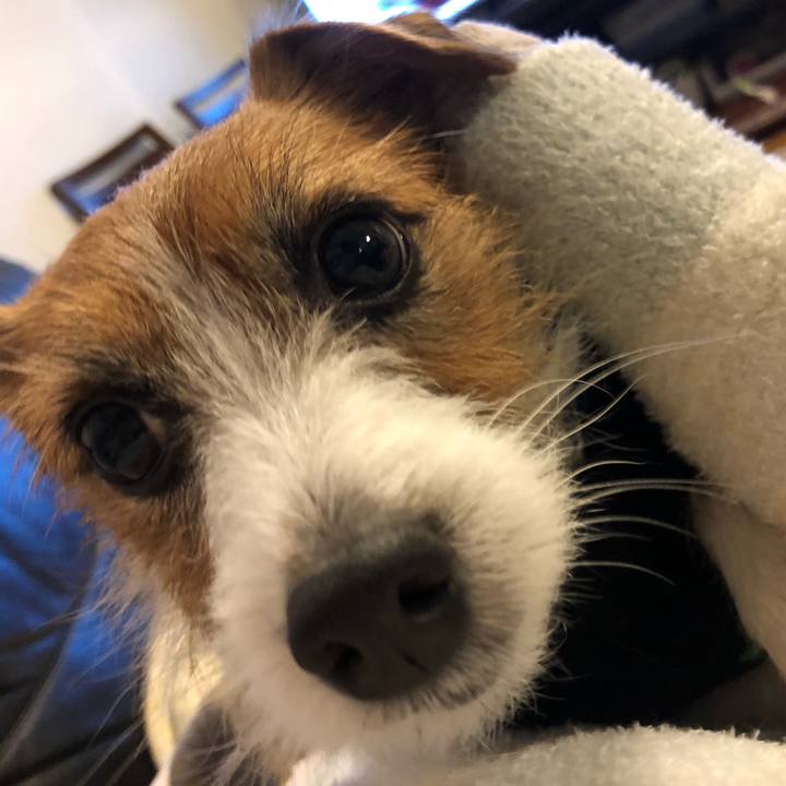 B926cc50 a7da 45fc 9896 fb6e35d1c923 1577007457286