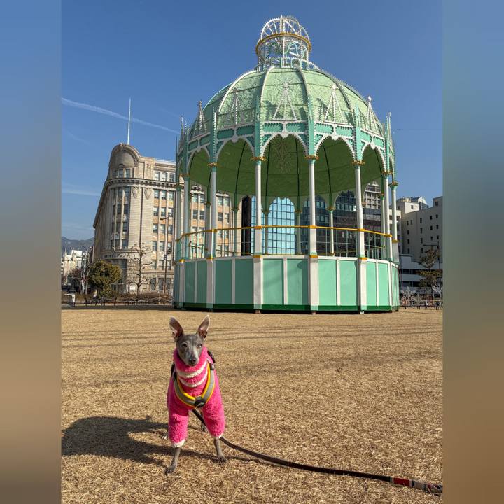 B926daa3 68d3 4c53 b67e 0b79f02b924a 1771142584265