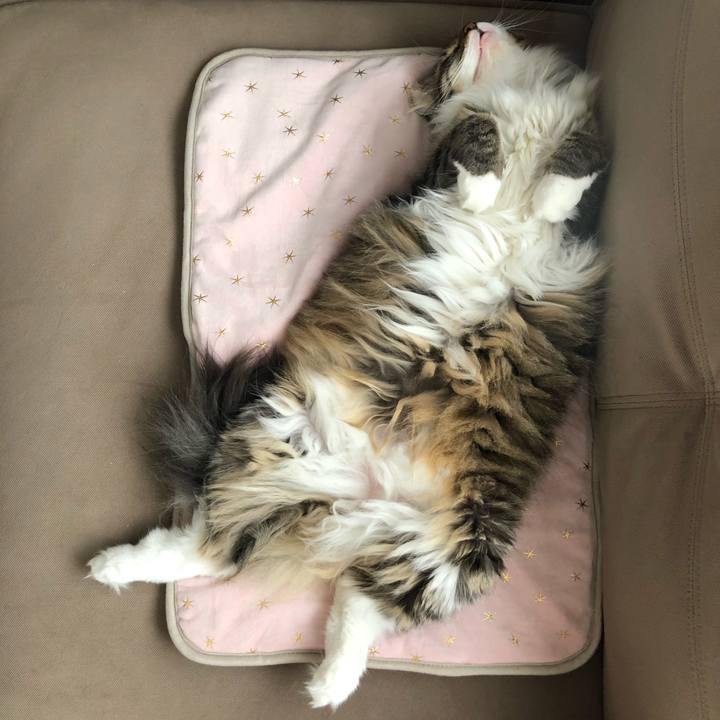 B927173f 7620 490a 8825 543d66a3797f 1569150726066