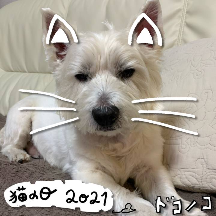 B9273946 34a2 4ff3 b183 7c79c04d8e84 1613977388518