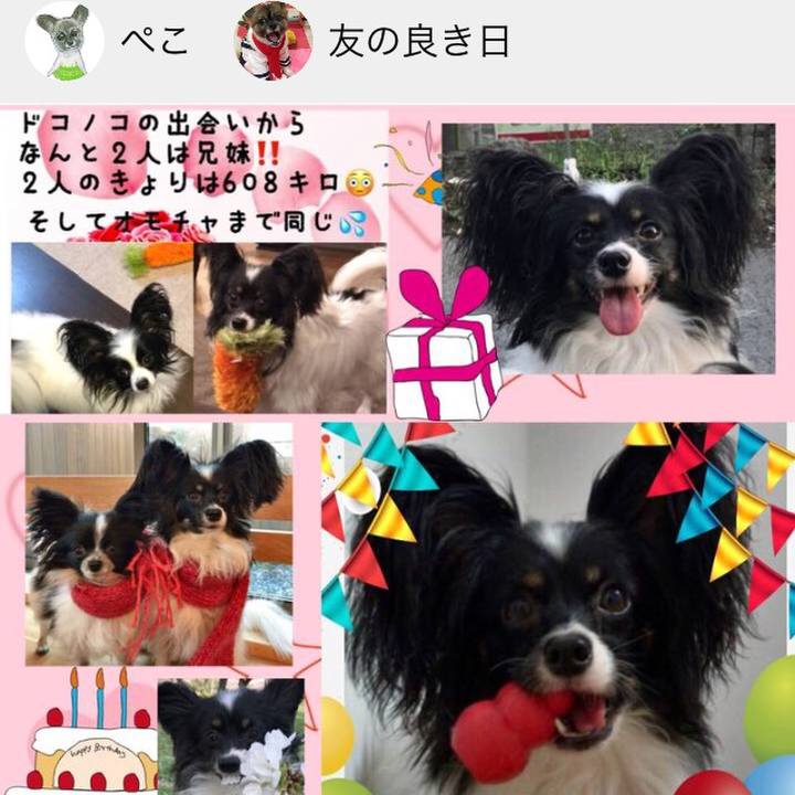 B9274c45 58e7 48ae 8eed 6ea24a20e24c 1529108776246