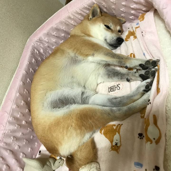 B9274e96 ba20 4c89 90cd f5b1e508a985 1508759896204