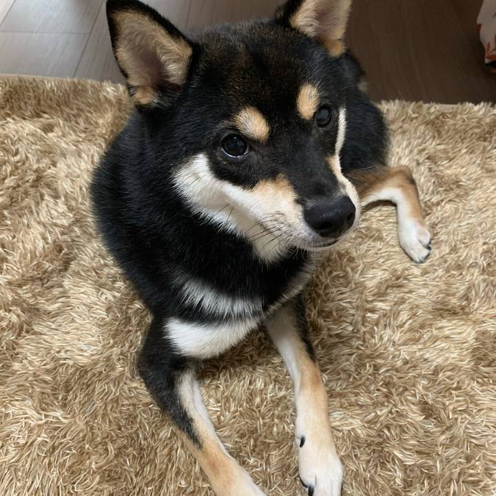 B9277795 4533 441b 8bbe b53bd7ef312b 1587193775001