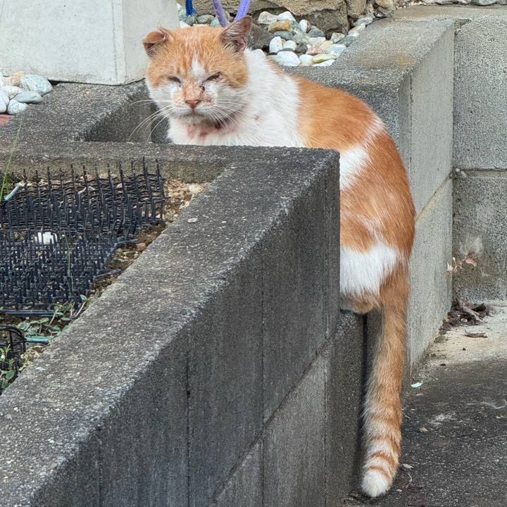 B927b304 bd7b 40eb 8580 49730562e8cf 1755216578485