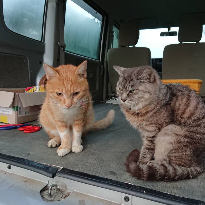 B9283268 48f9 4277 a40f 1a1162ea5d52 1569963340744