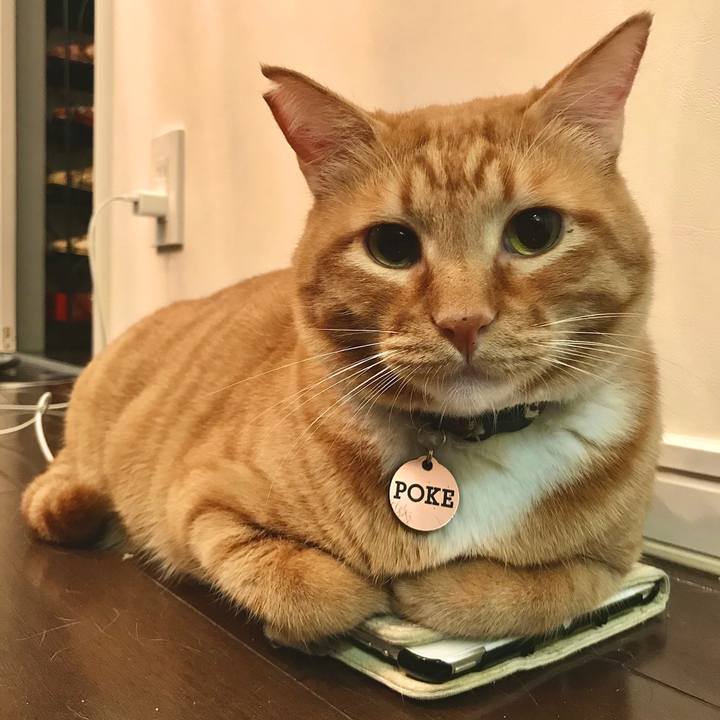 B92919b9 2acb 4343 beb8 04878c8ee784 1587393806146