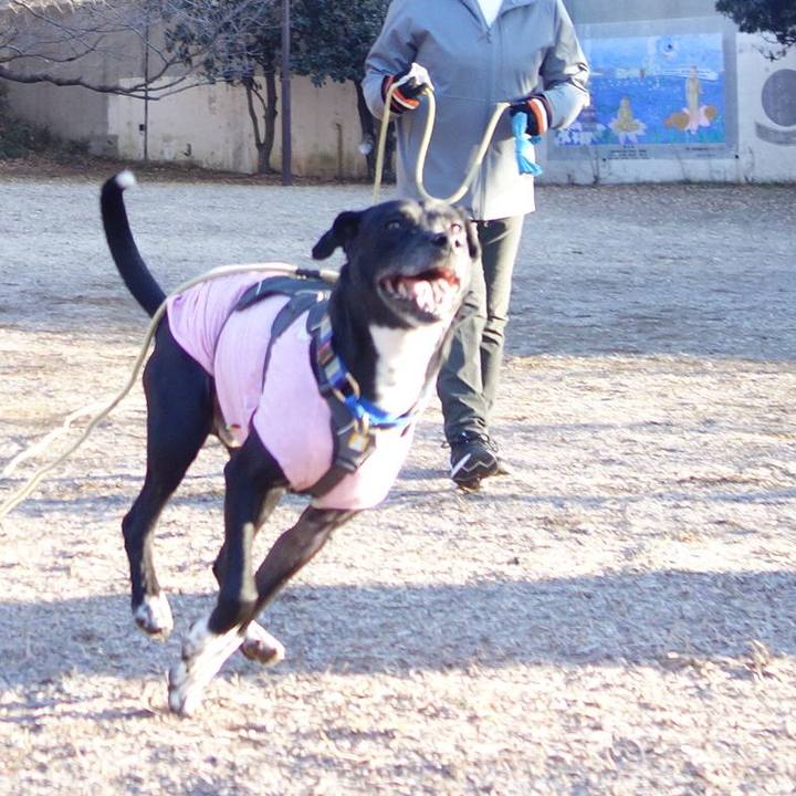 B9293fa8 e65f 40c3 9c8b b51b9c2613f9 1644109193148