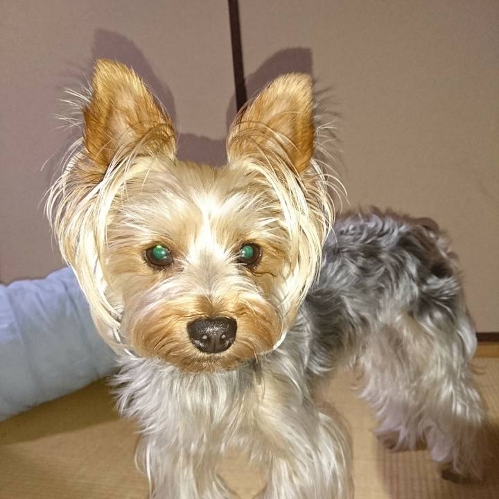 B92960e8 4454 4765 a092 5dbb496d47f7 1530740617777