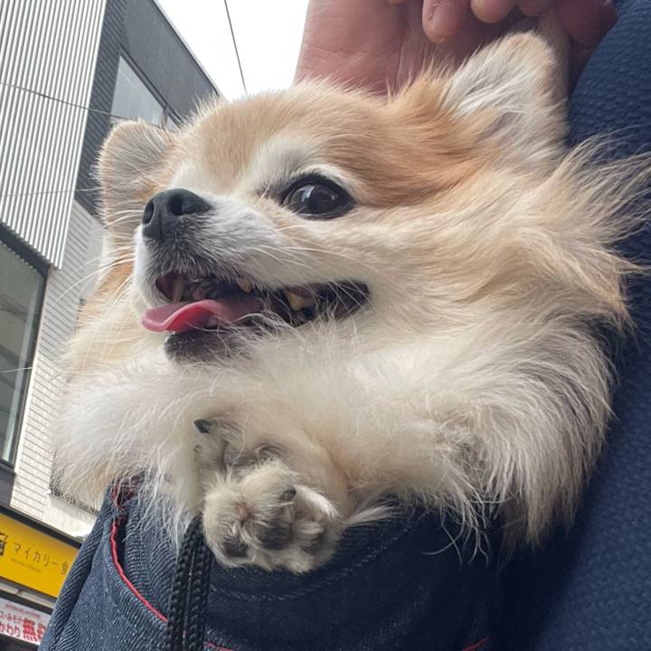 B9298036 d354 41bd 9d94 51e87dab2d6b 1760322043880