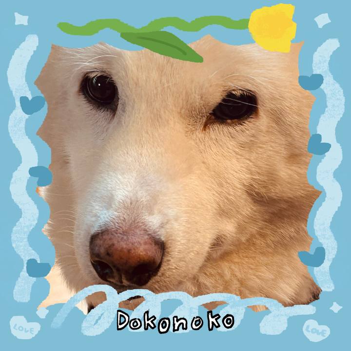 B9299cf7 5a76 42dc 9004 ade7b30a9398 1771820242232