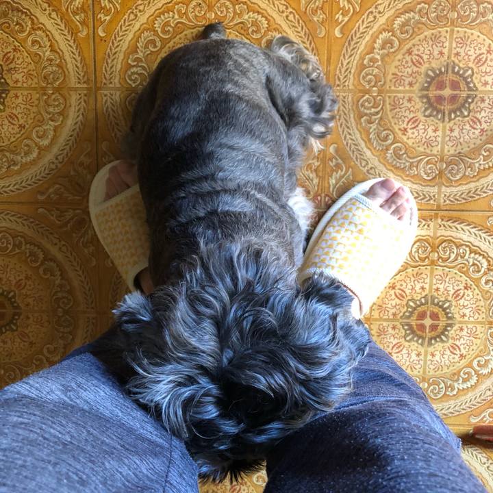 B929bd2c bc6f 4b16 90fe 1c3e4e6b7fd8 1662252316319