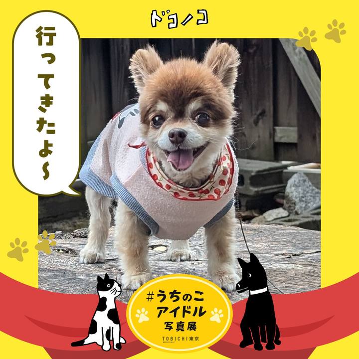 B929c400 537b 4217 ba30 2afba000f661 1761178644573