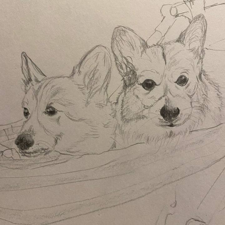 B929c607 6d18 4cb2 8259 0f4ec1980cba 1646230216727