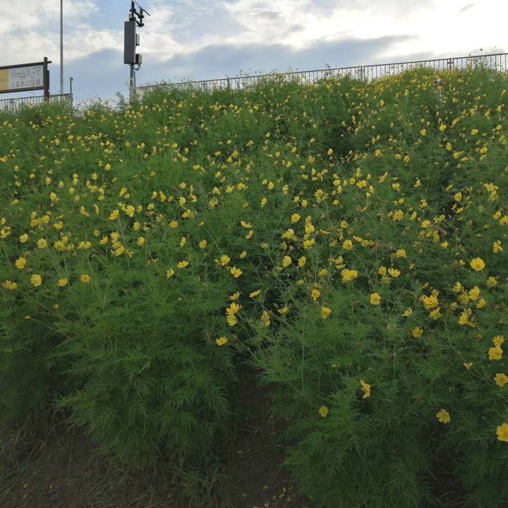 B929cd29 9fa5 448a b50f 0f554cd33692 1600389680752