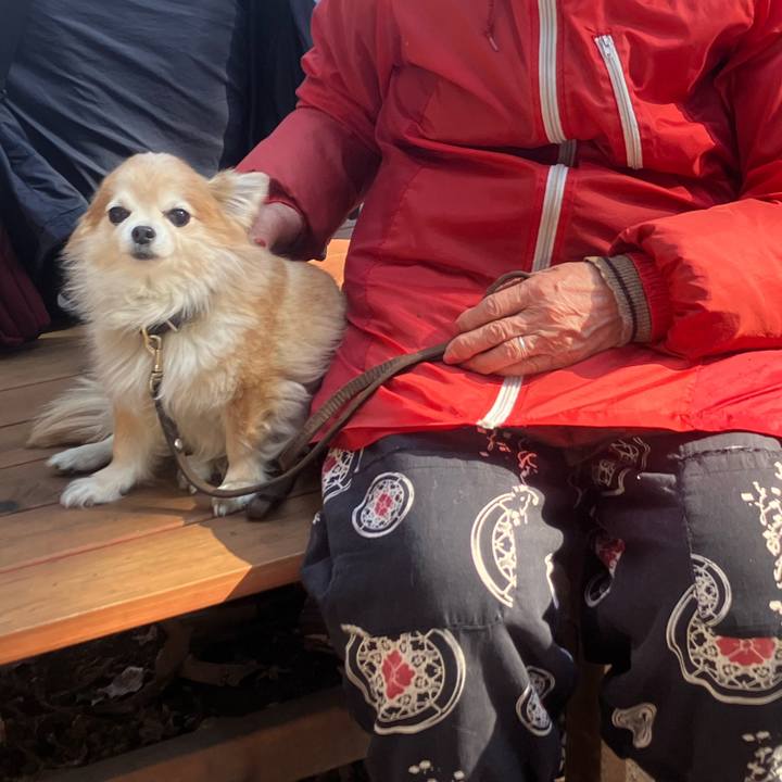 B92a2651 c14a 45ec 8677 29176234dc21 1771192555171