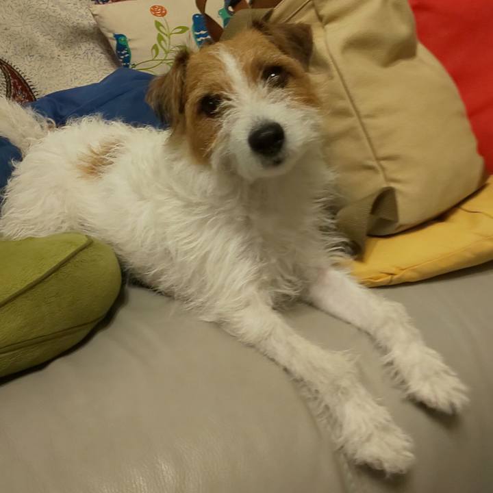 B92a65a3 95ec 4842 8839 8d92b12b9589 1599729088653