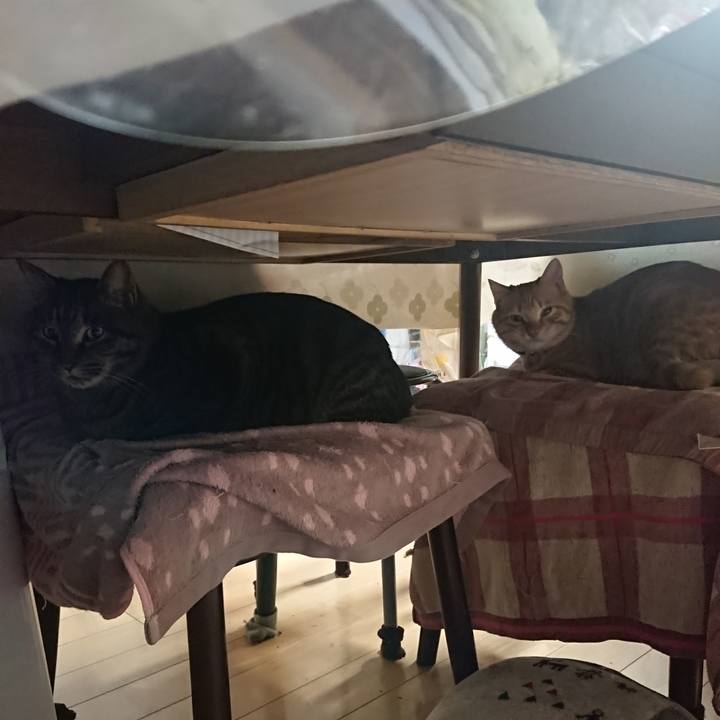 B92a8115 4d5d 4ea2 863b ae544eddcdc9 1643450061978