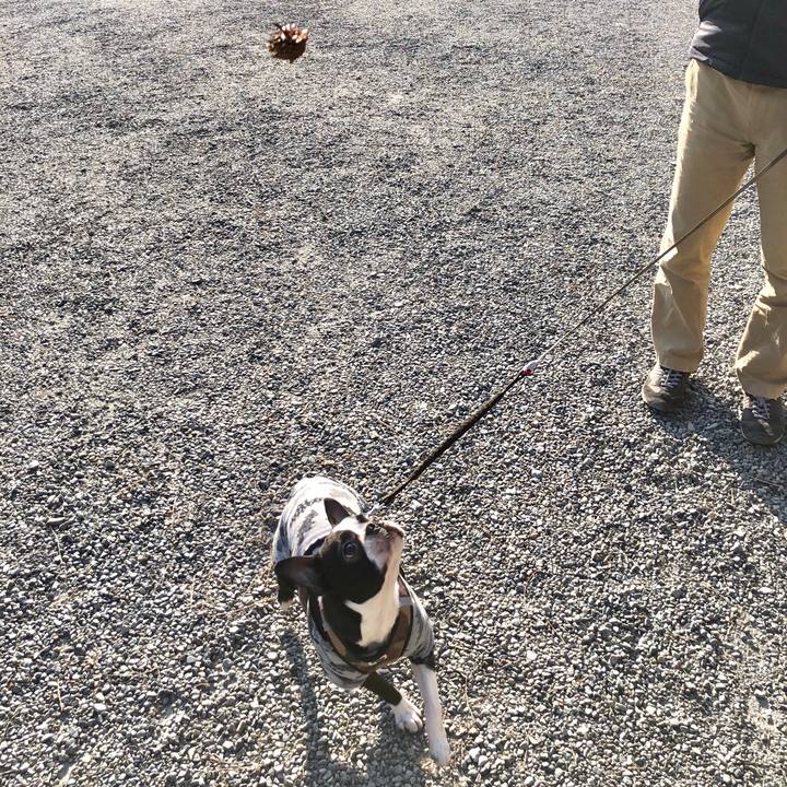 B92a8b76 cc3a 4e40 99aa 6aabe9af0cbd 1519718027329