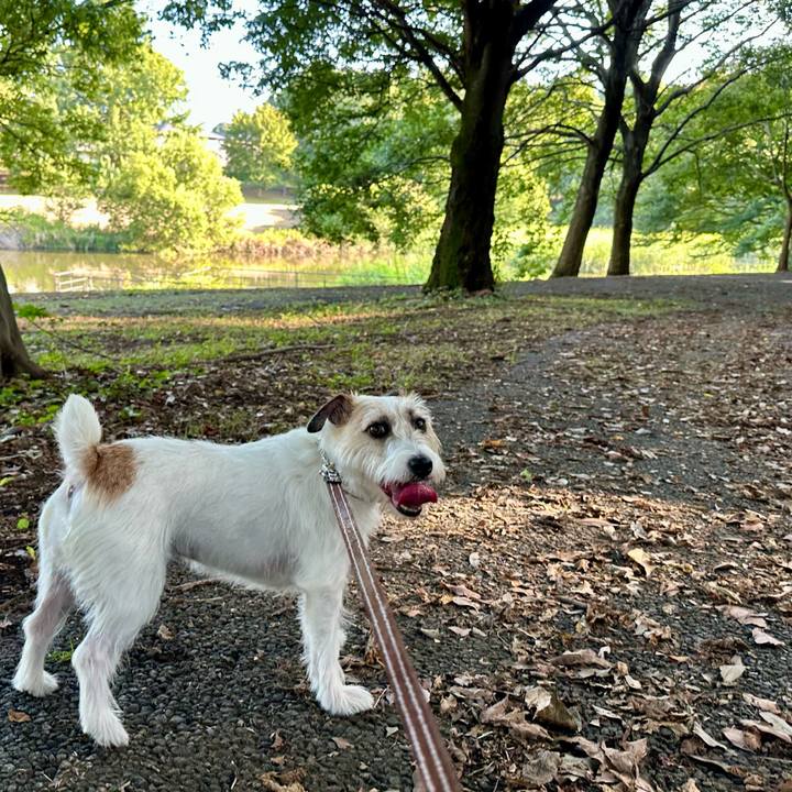 B92ac1e8 70c7 4dab 94a3 c7f4290f8fec 1757223128700