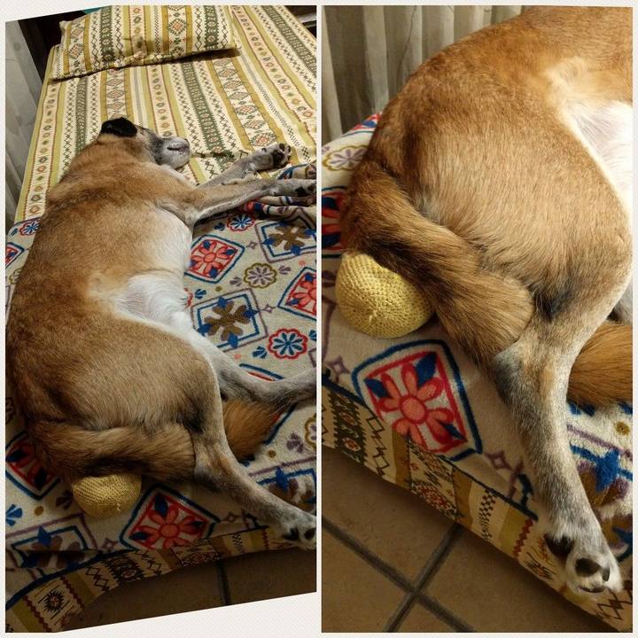 B92af7fd 0b48 4912 8069 648eb268ac78 1539530571530