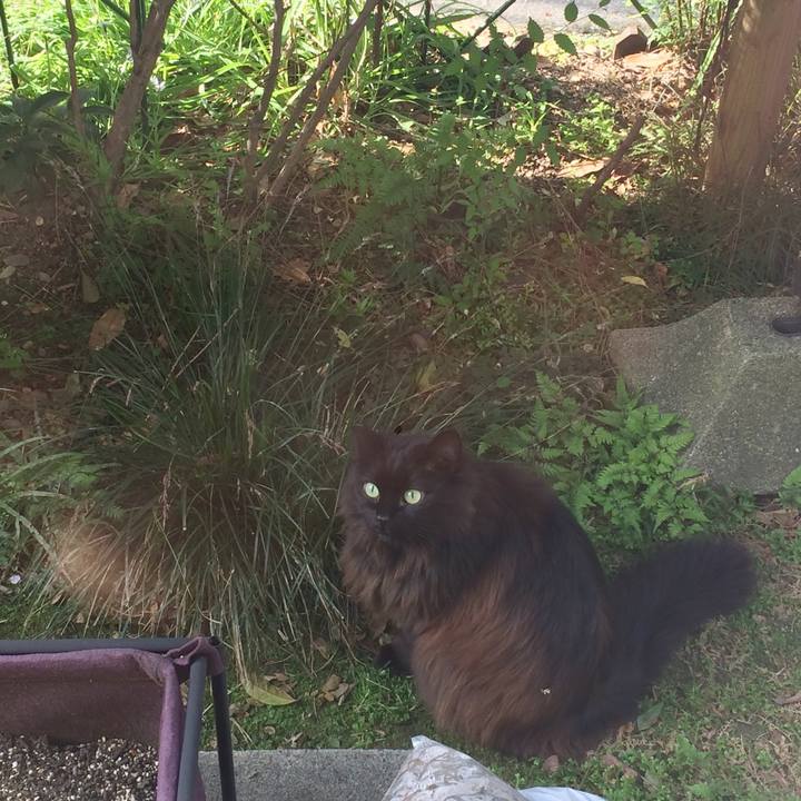 B92b1d6f 39f0 4b76 9ed5 238f64e2b15d 1522797683876